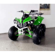 Mini Kis Sport ATV und Quad mit Geschwindigkeit 45km/H